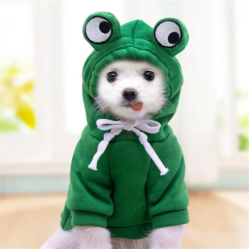 Fruitilicious Dog Hoodie Cute Warm and Stylish
