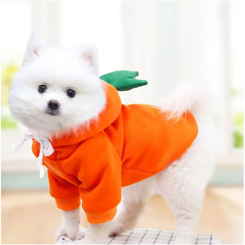 Fruitilicious Dog Hoodie Cute Warm and Stylish