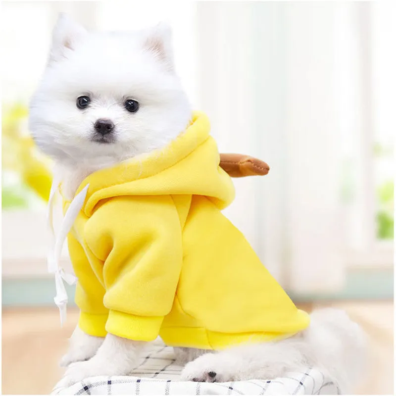 Fruitilicious Dog Hoodie Cute Warm and Stylish