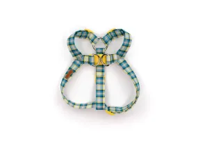 The Alan Harness